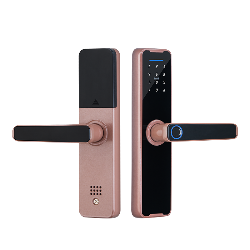 Smart Mortise Door Lock - Fingerprint, Password, Mechanical Key, Card, APP, Bluetooth/WiFi  TAML20