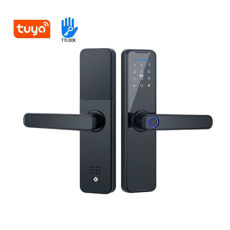 Smart Mortise Door Lock - Fingerprint, Password, Mechanical Key, Card, APP, Bluetooth/WiFi  TAML20