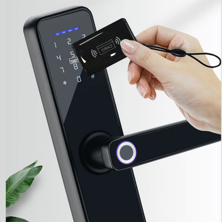 Smart Mortise Door Lock - Fingerprint, Password, Mechanical Key, Card, APP, Bluetooth/WiFi  TAML20