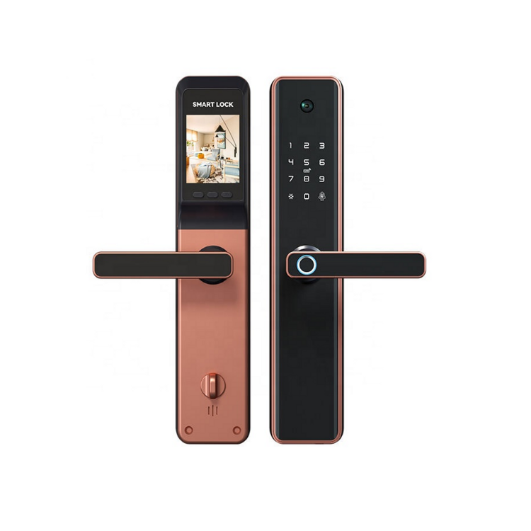 Smart Mortise Door Lock with Camera - Fingerprint, Password, Mechanical Key, Card, APP, Bluetooth/WiFi TALC03