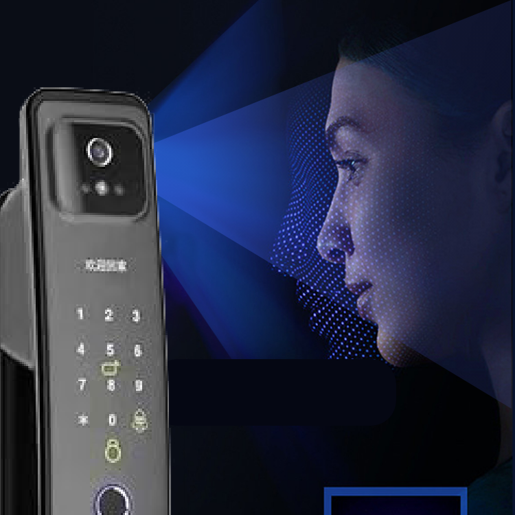 Smart Mortise Door Lock with Camera - Face Recognition, Fingerprint, Password, Mechanical Key, Card, APP, Bluetooth/WiFi  TALC05