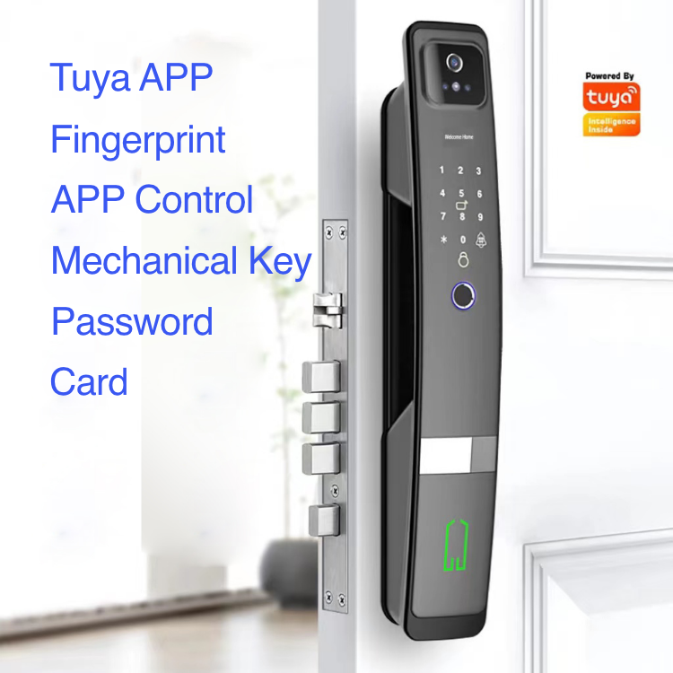 Smart Mortise Door Lock with Camera - Face Recognition, Fingerprint, Password, Mechanical Key, Card, APP, Bluetooth/WiFi  TALC05