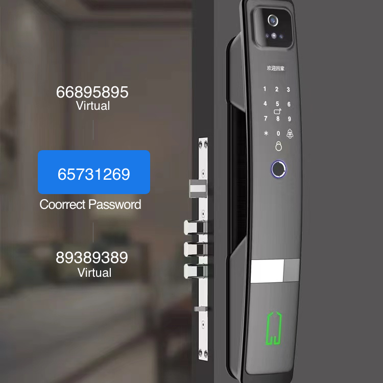 Smart Mortise Door Lock with Camera - Face Recognition, Fingerprint, Password, Mechanical Key, Card, APP, Bluetooth/WiFi  TALC05