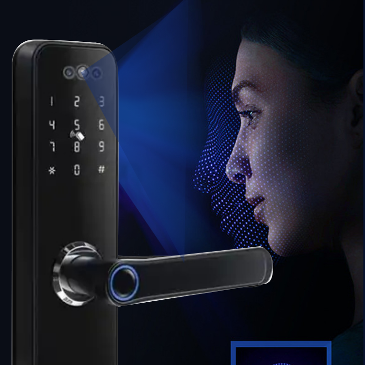 Mortise Door Lock with Camera - Fingerprint, Password, Mechanical Key, Card, APP, Bluetooth/WiFi  TALC08