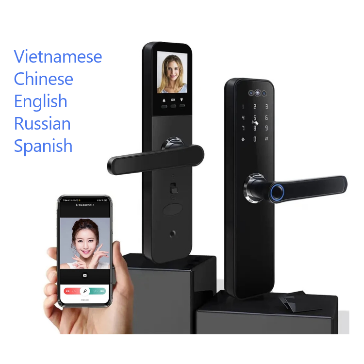 Mortise Door Lock with Camera - Fingerprint, Password, Mechanical Key, Card, APP, Bluetooth/WiFi  TALC08