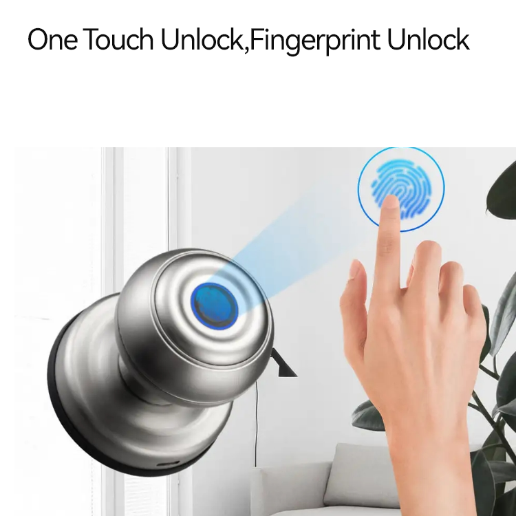 Smart Door Knob  - Fingerprint APP Mechanical Key  - SLK1