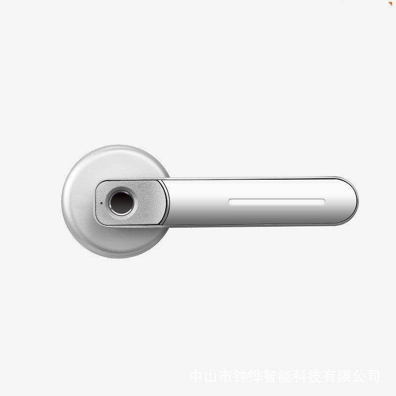 Smart Door Lock - Fingerprint Physical Key Smart Door Handle with Latch  TAHL01